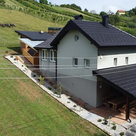 Vila Tamaskut Lendava Exteriér fotografie